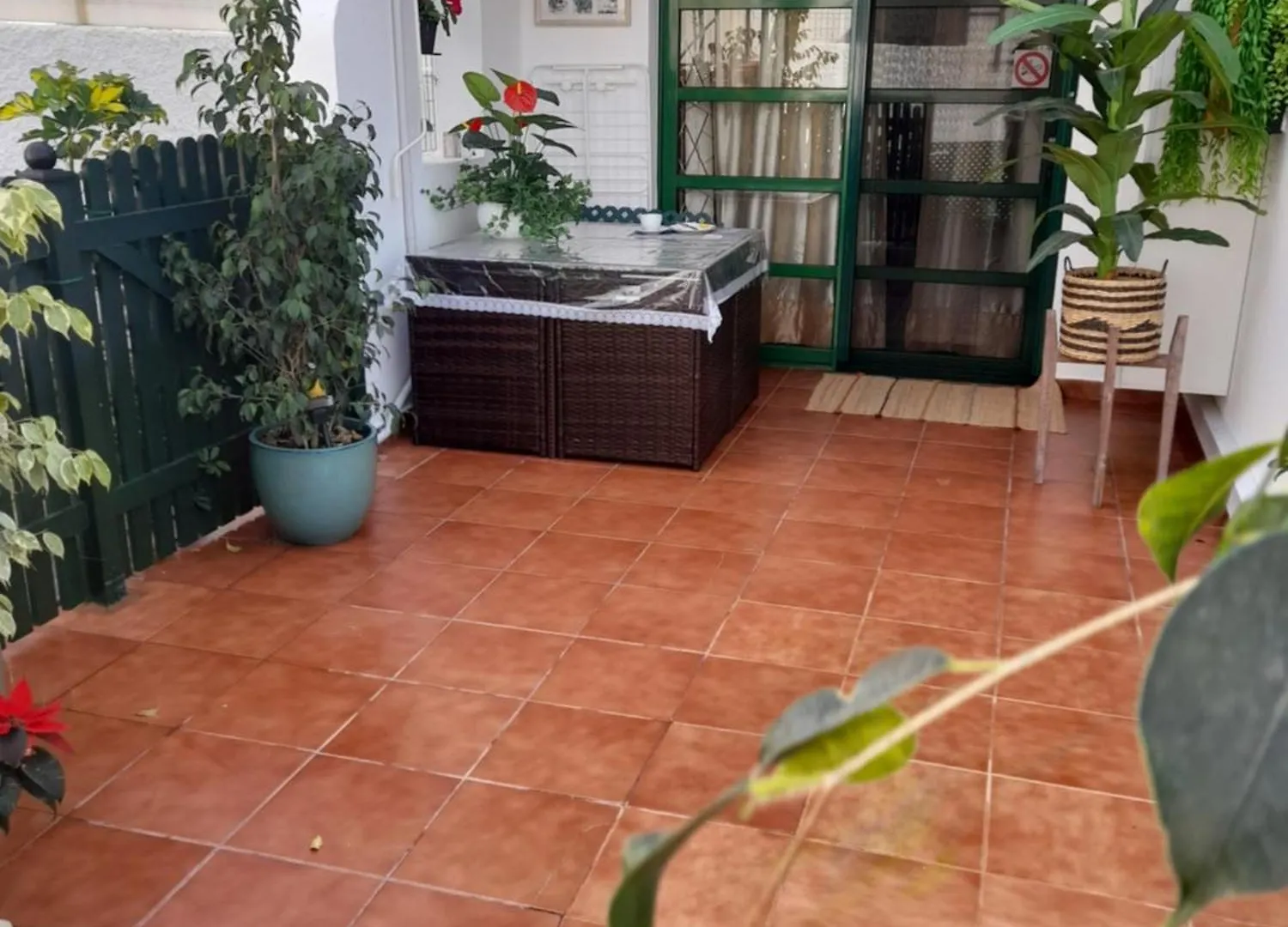מספאלומס Duna Flor Verde - Bungalow Cika 207